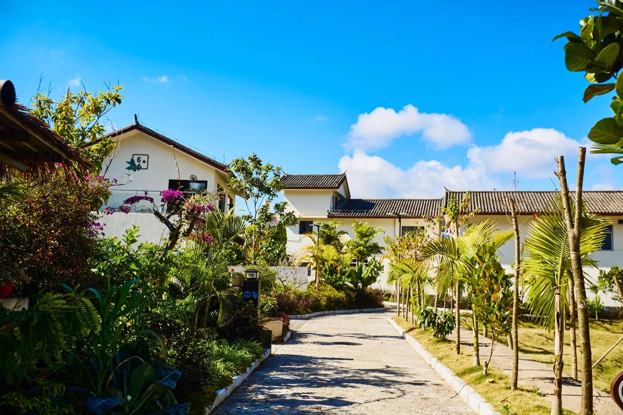 普洱思茅南岛河村美丽星村云南本土与现代技艺交融的咖啡文化生活(图4)