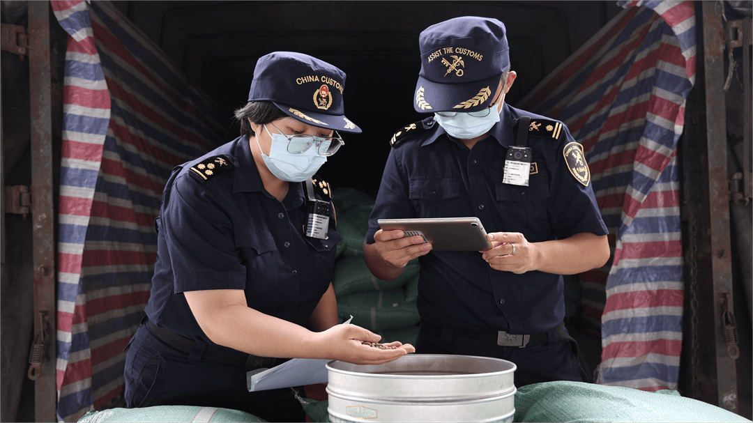 落地加工”激活咖啡产业增收新动能开元棋牌app河口：“边民互市+(图1)