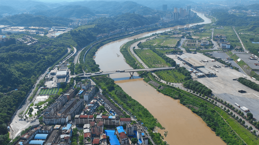 落地加工”激活咖啡产业增收新动能开元棋牌app河口：“边民互市+(图7)